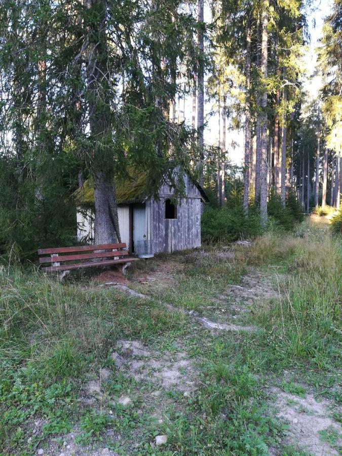 Ferienwohnung Hasenfratz Loeffingen Luaran gambar